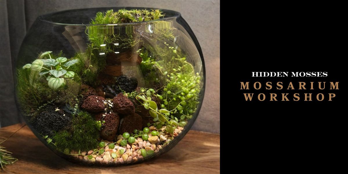 Mossarium Workshop: Create Your Own Lush Miniature Forest!