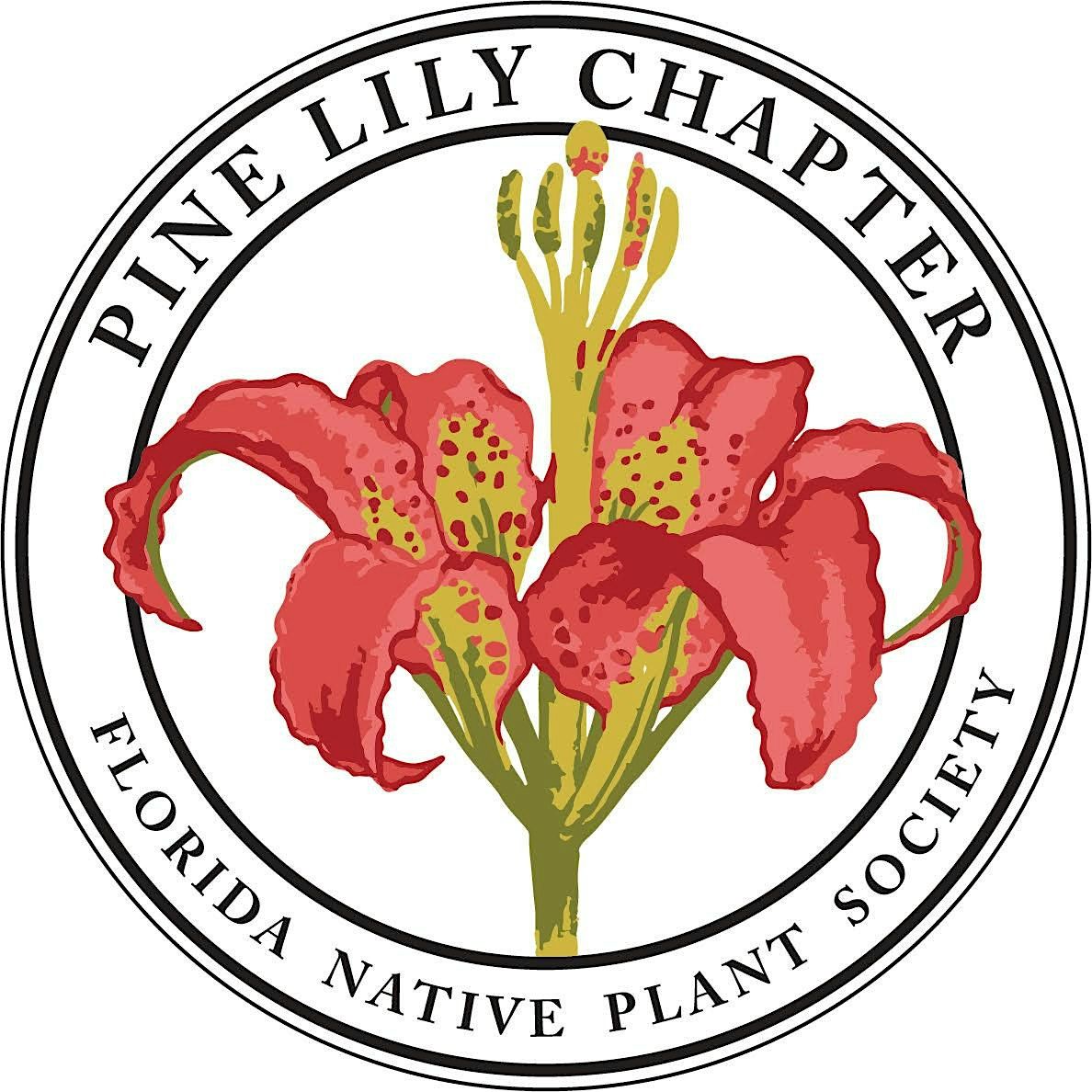 Pine Lily Chapter Member Meeting (February): Celebration Meet & Greet!