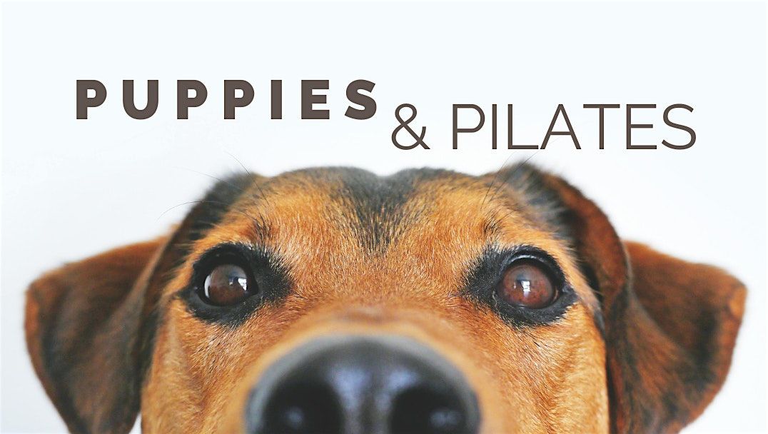 Teacher Exclusive Puppies & Pilates