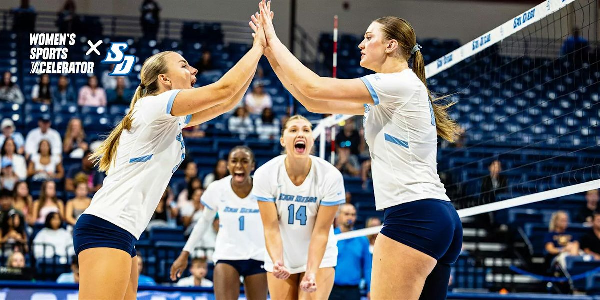 VIP Volleyball Fan Experience