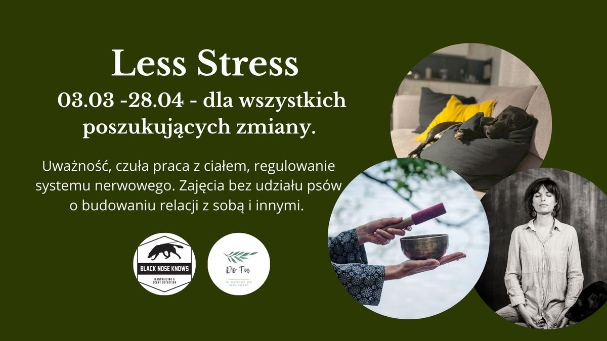 Less Stress - zaj\u0119cia dla wszystkich poszukuj\u0105cych zmiany