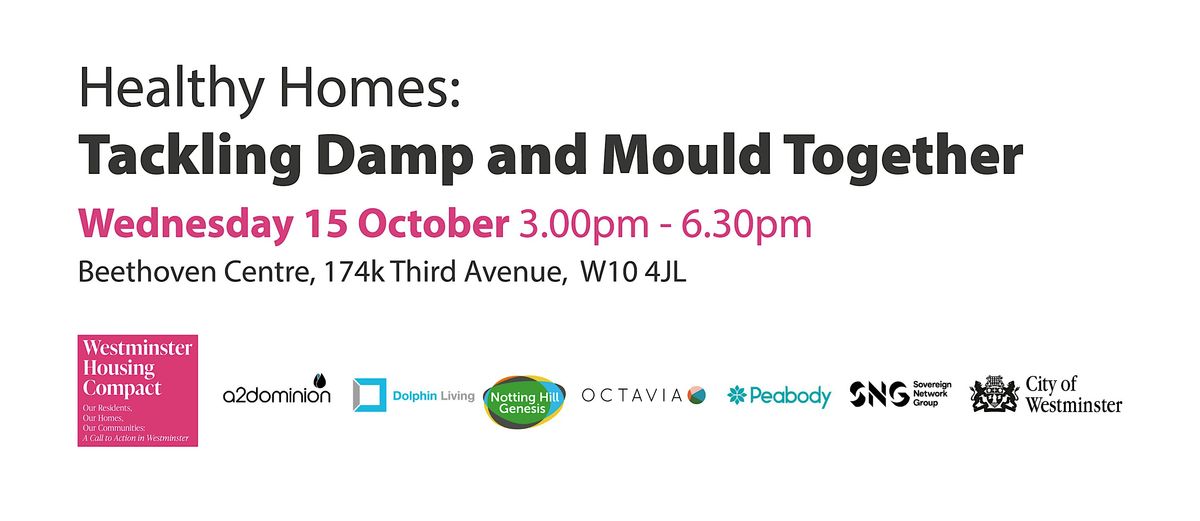 Healthy Homes: Tackling Damp and Mould Together