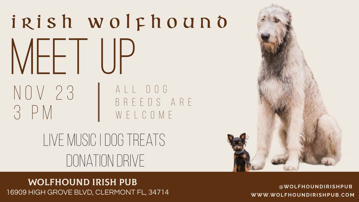 Irish Wolfhound Meet-Up at Wolfhound Irish Pub! \ud83d\udc3e\ud83c\udfb6