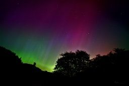Northern Lights: Dancing Curtains of Color