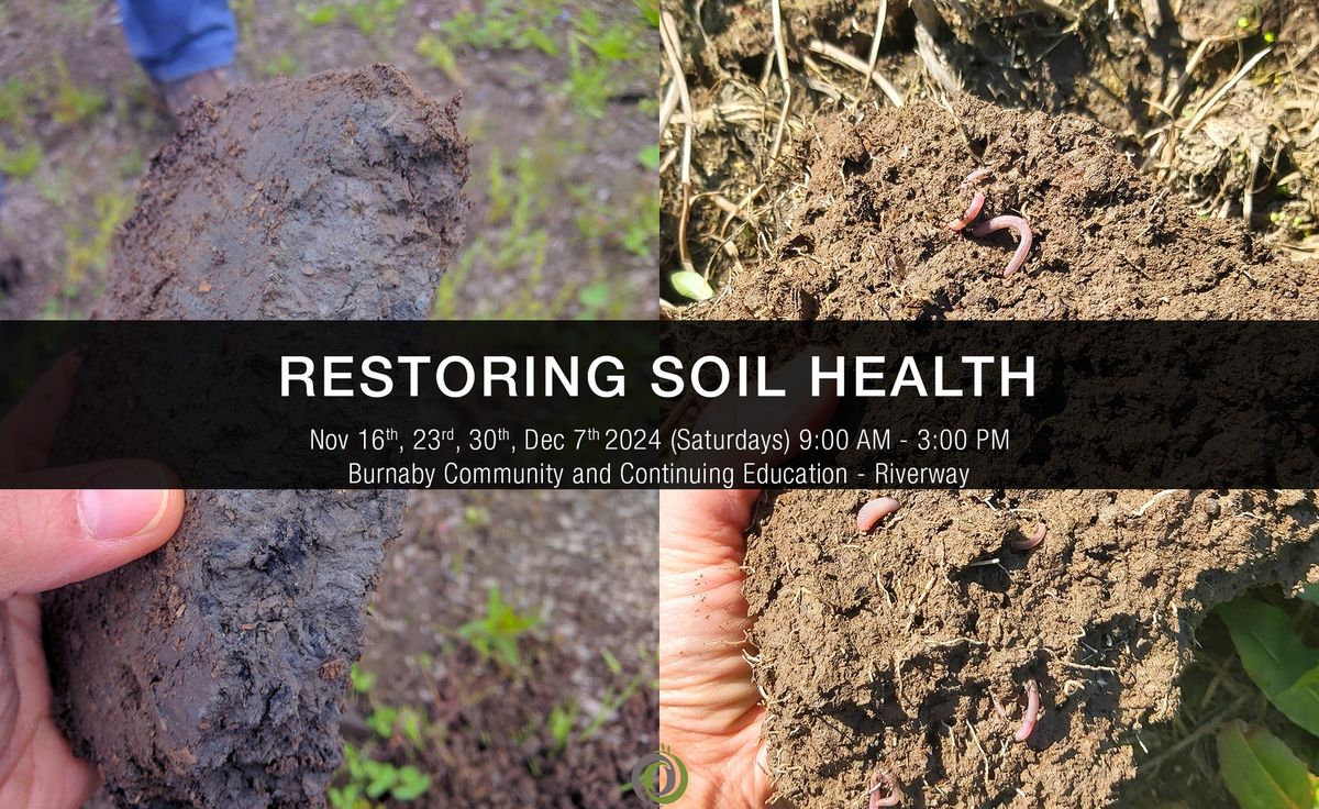 Restoring Soil Health