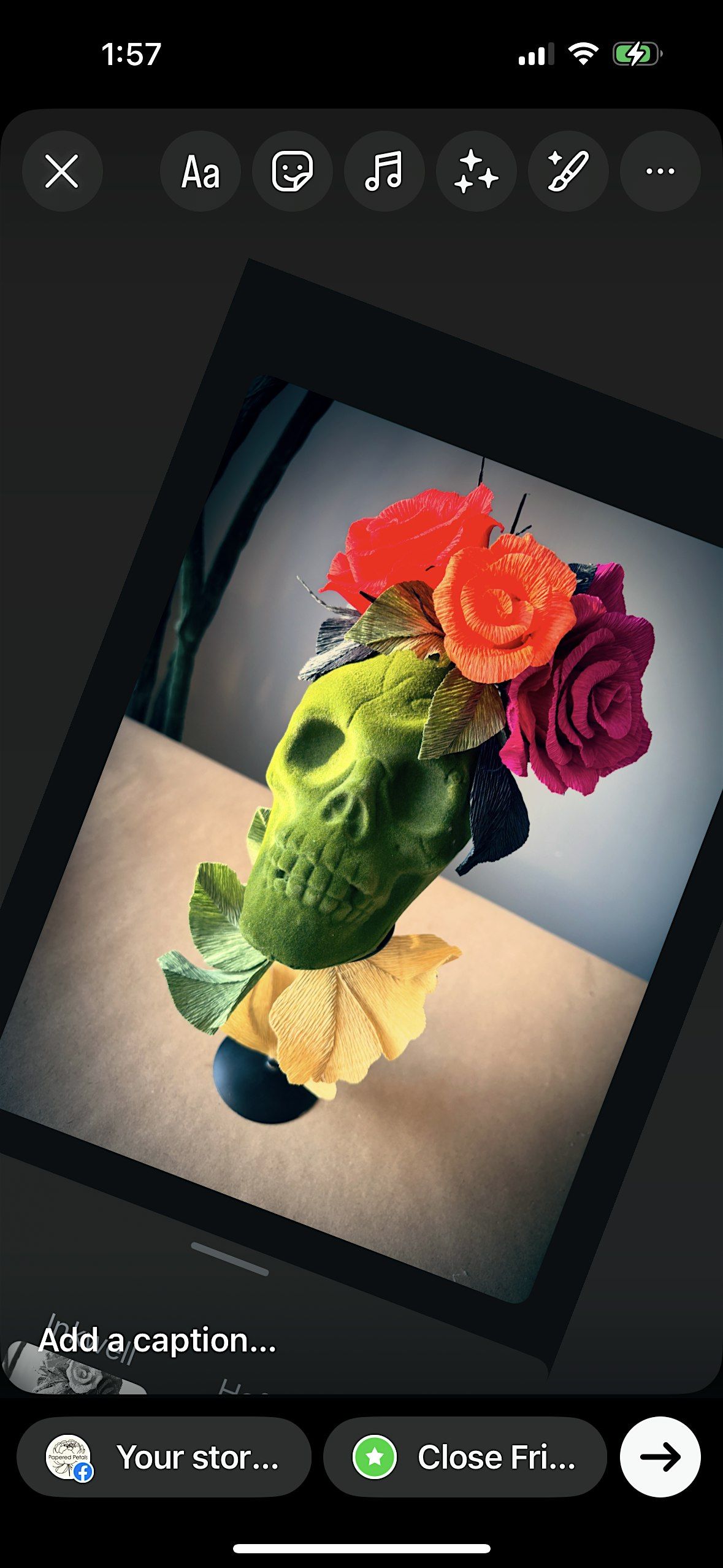 Skulls N' Roses Workshop