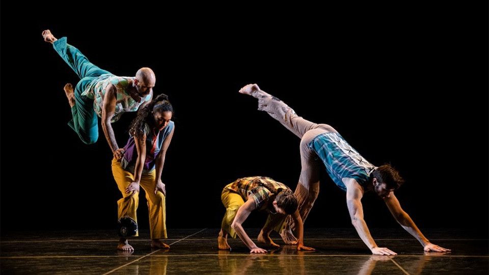 In The Fall | Working Title - Trisha Brown Dance Company