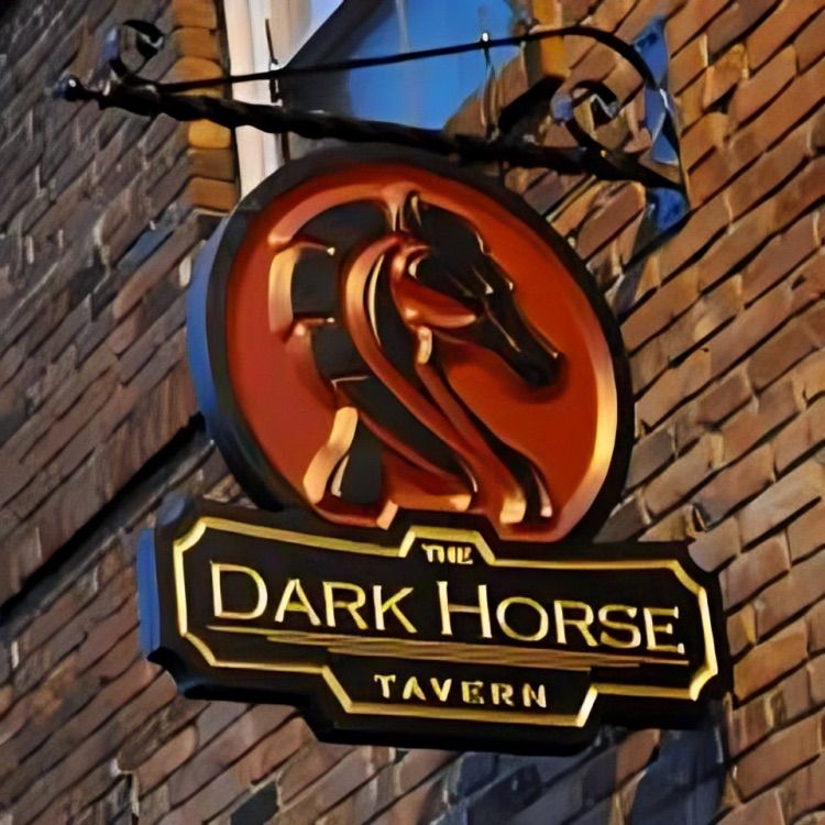 Evan & James live @ Dark Horse Tavern (Farmingdale)