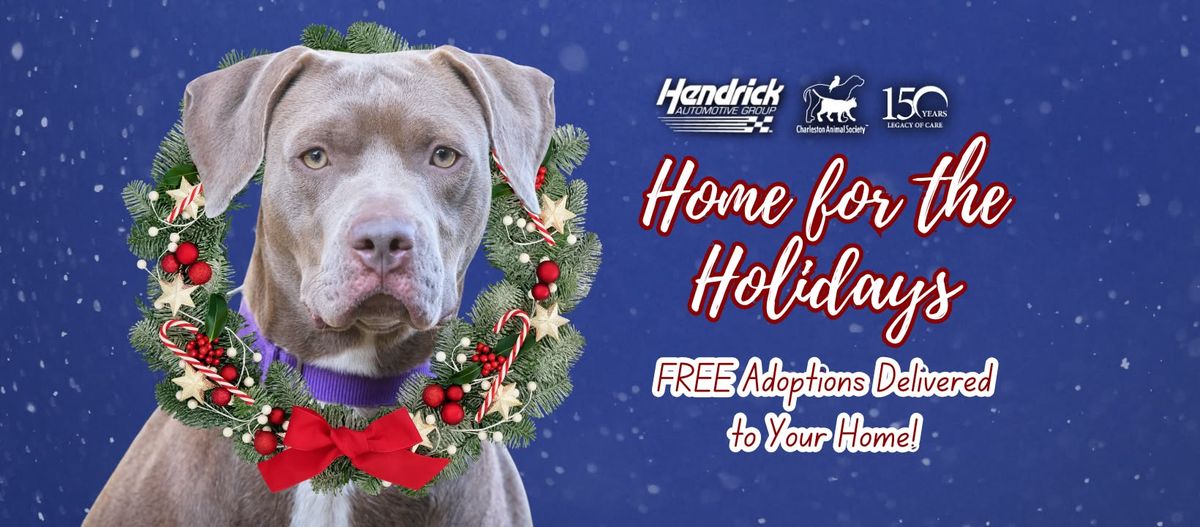 Hendrick Home For The Holidays 