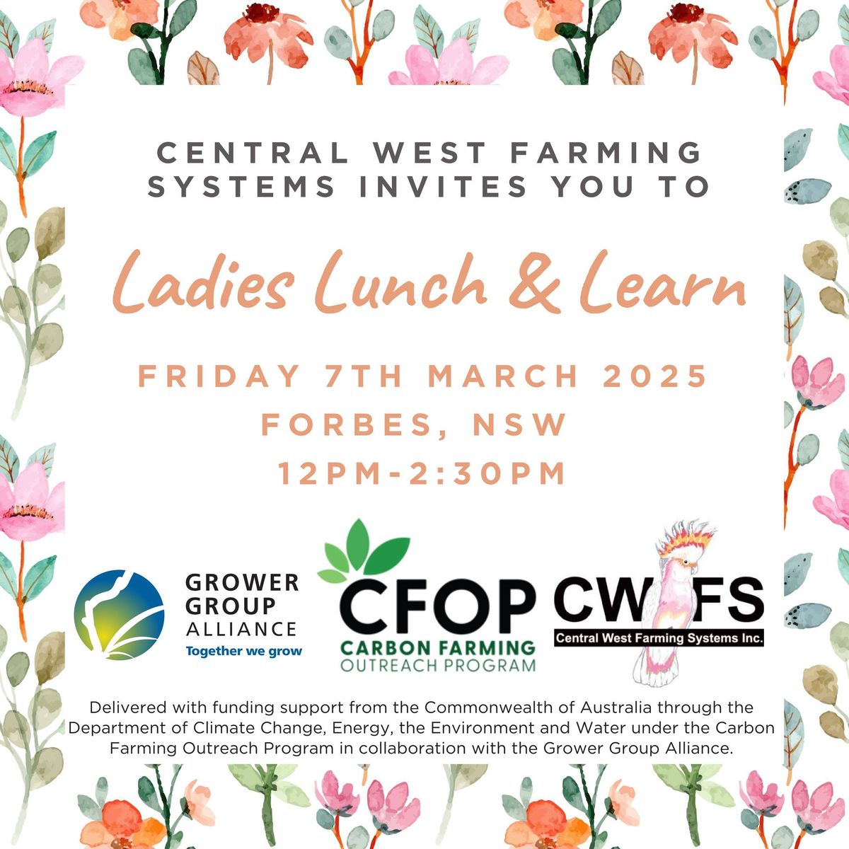 CWFS Ladies Lunch & Learn 