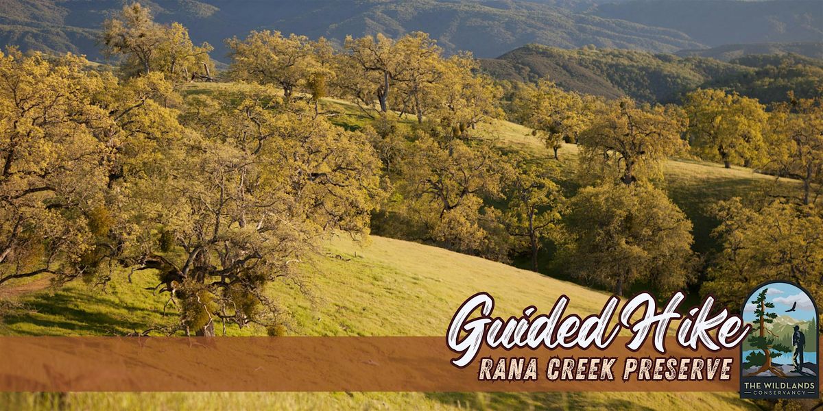 Wildflower Guided Hike - Rana Creek Preserve