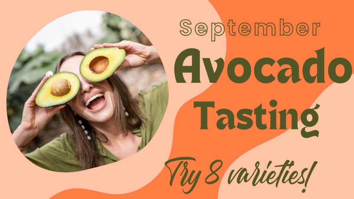 \ud83e\udd51 Avocado Tasting \ud83e\udd51