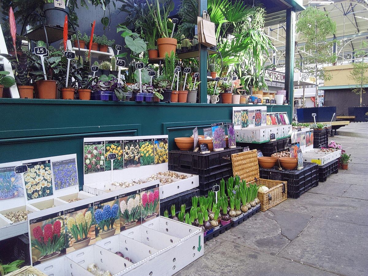 Bulb Lasagne Workshop