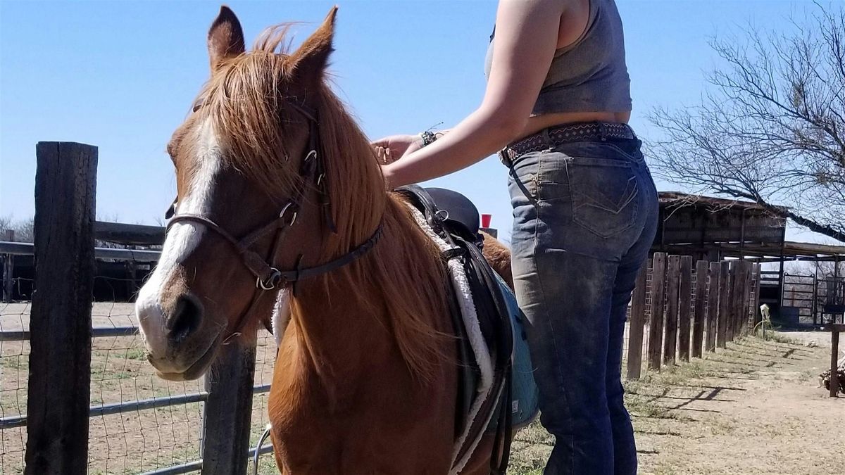 Individual Horseback Riding Lesson