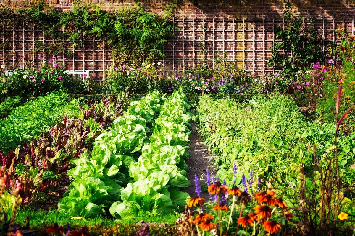 Healthy Eating & Living