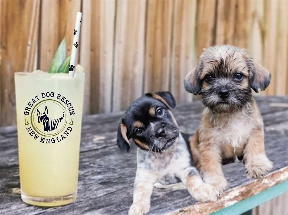 Regatta & Rescue