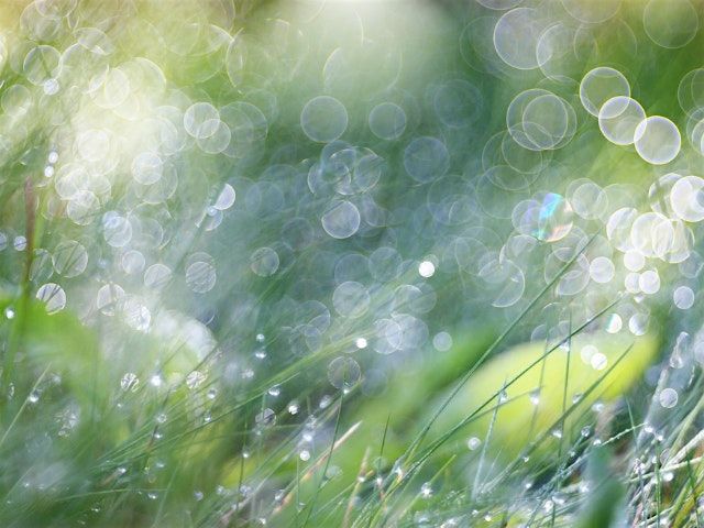 Mini retreat: Whispers of Stillness: A Journey into Silence
