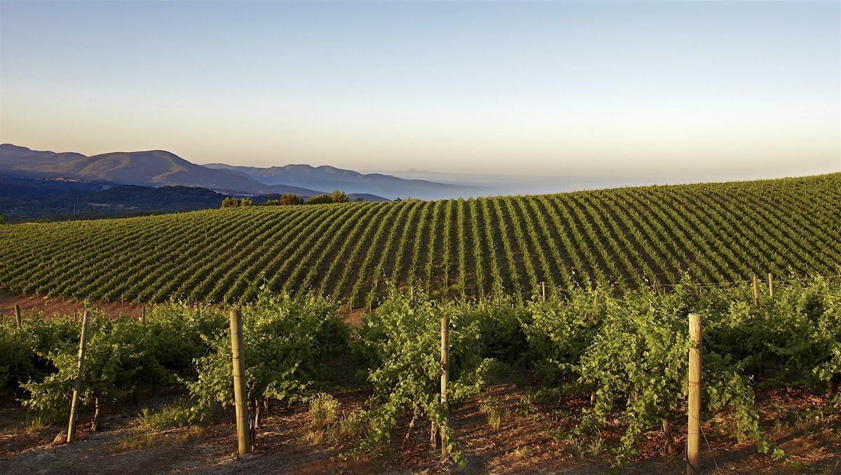 50 Years of Caymus Vineyards: Winemaker Dinner