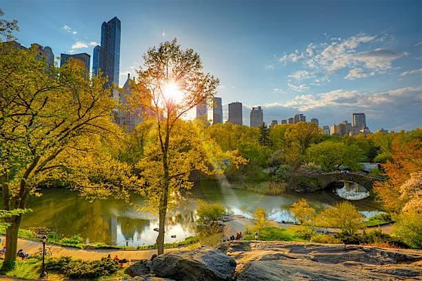 Central Park Social Walk (50s & Over)