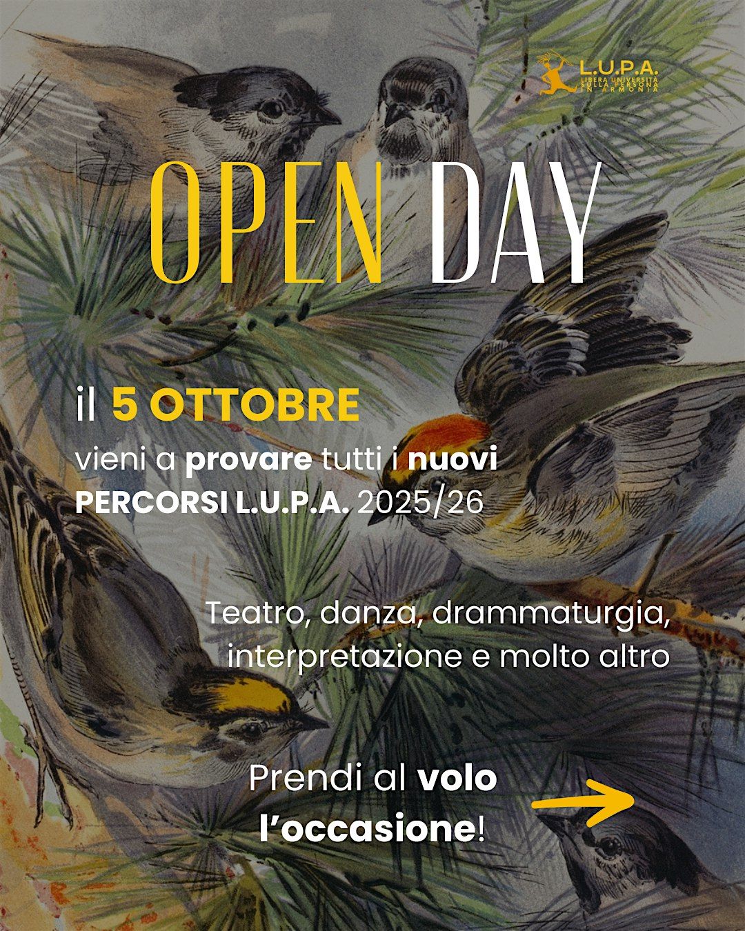OPEN DAY - Libera Universit\u00e0 sulla Persona in Armonia