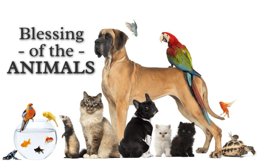 Annual Blessing of the Animals