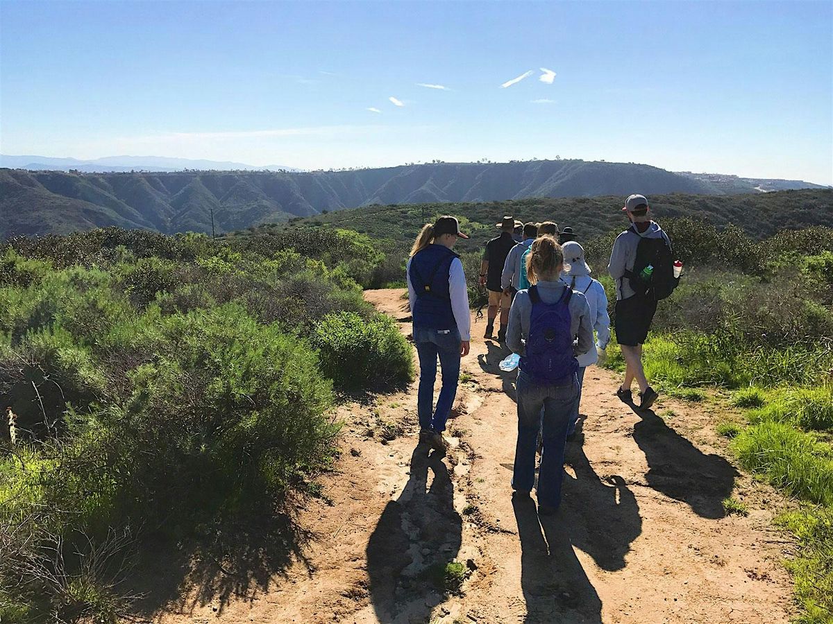 Persians Walking, Hiking & Mingling !