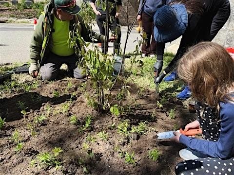 Growing Together: Arbor Day Tree Planting