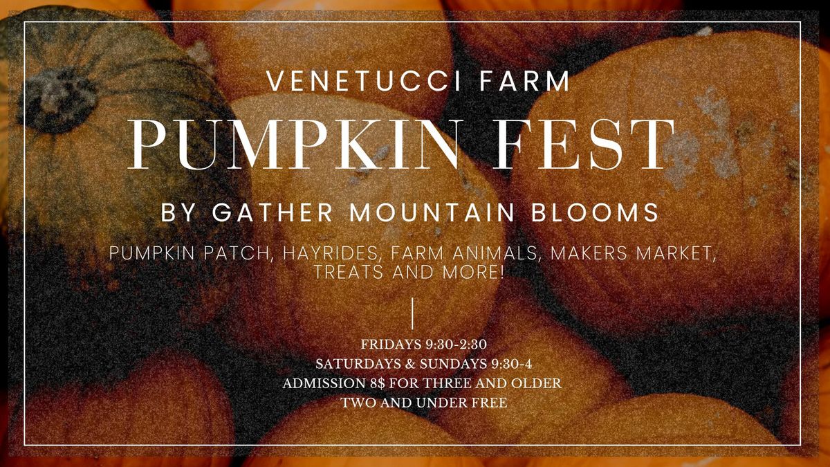 Pumpkin Fest at Venetucci Farm By Gather Mountain Blooms 