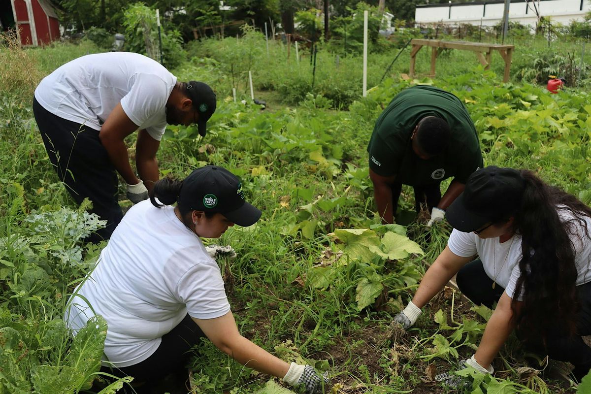 Community Work Day at Montrose Farm!