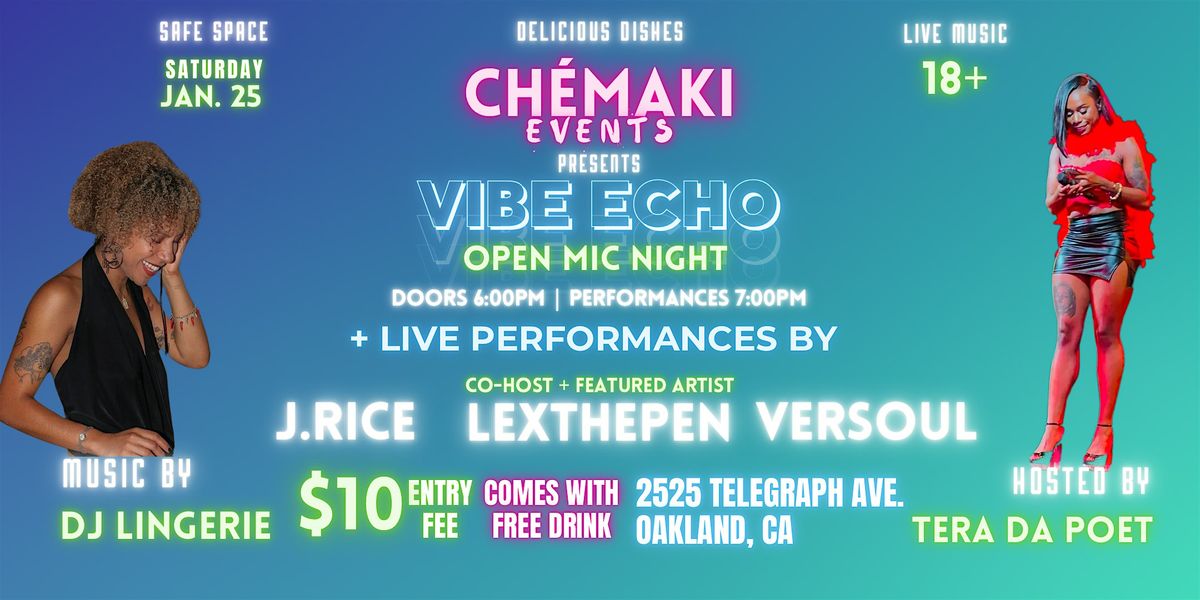 Vibe Echo Open Mic Night