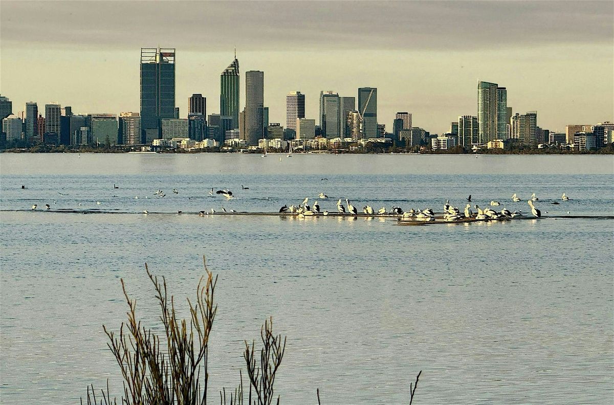 Beginners' Smartphone Bird Photography Workshop