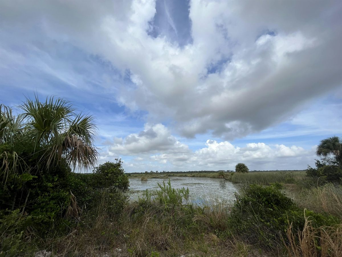 Explore Natural Martin Sunset Nature Walk