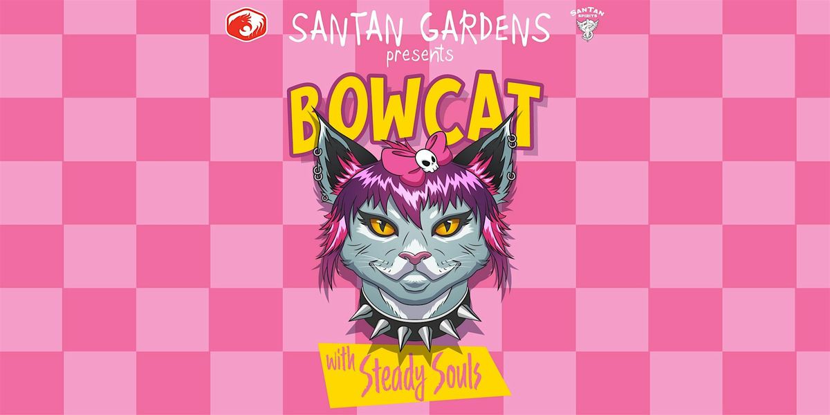 Bowcat and The Steady Souls