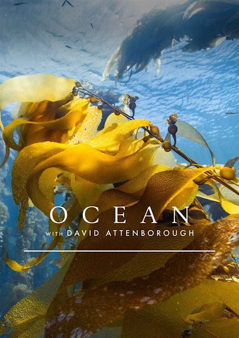 'Ocean with David Attenborough' film screening