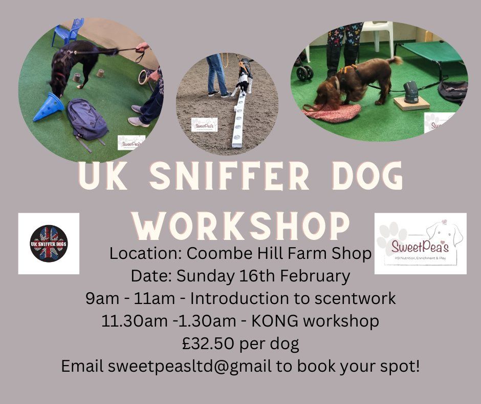 UK Sniffer Dog KONG workshop with Pop-Up Doggy Deli