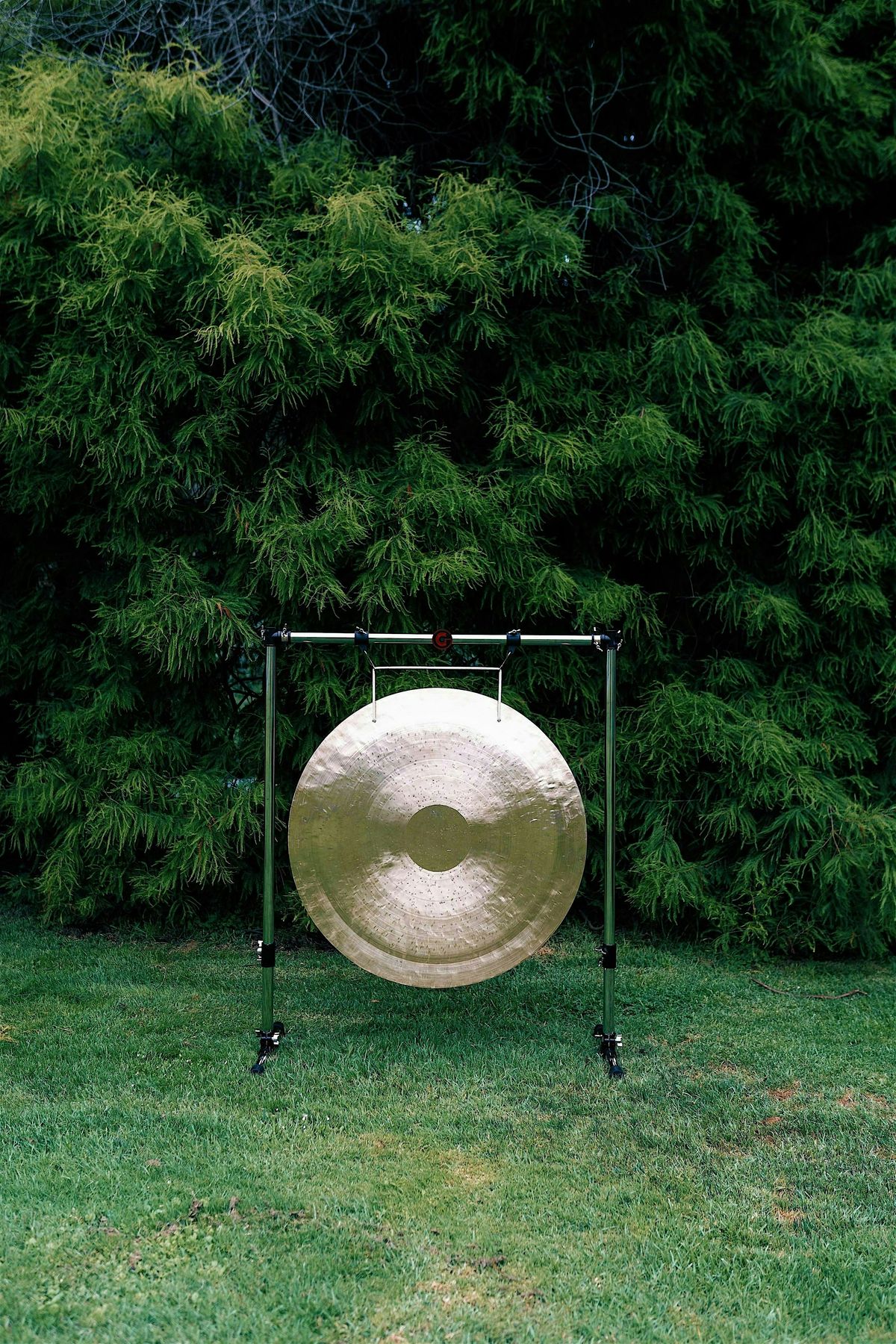 Gong Grove: A Multi-gong Sound Bath in Golden Gate Park