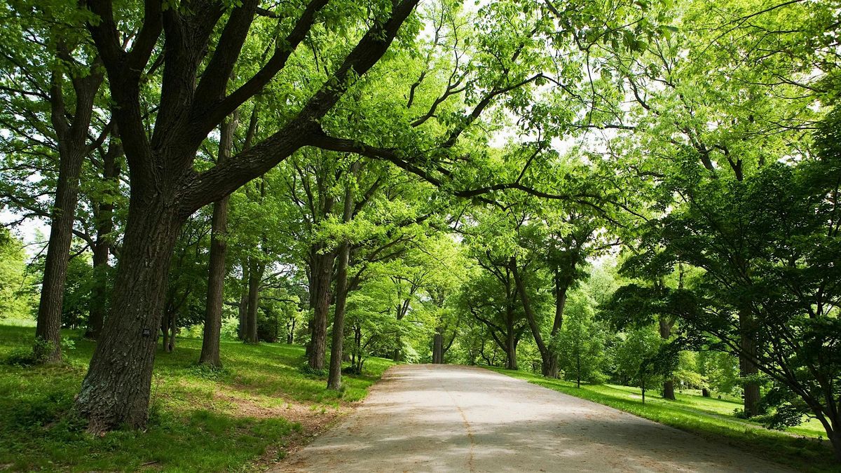 Conscious Singles Walk + Dinner  at Midnight Morning for ages 25-45