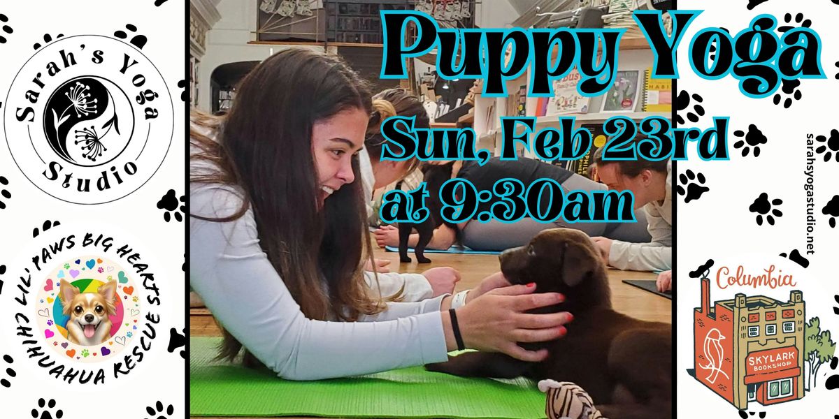 Puppy Yoga at Skylark Bookshop with Sarah's Yoga Studio