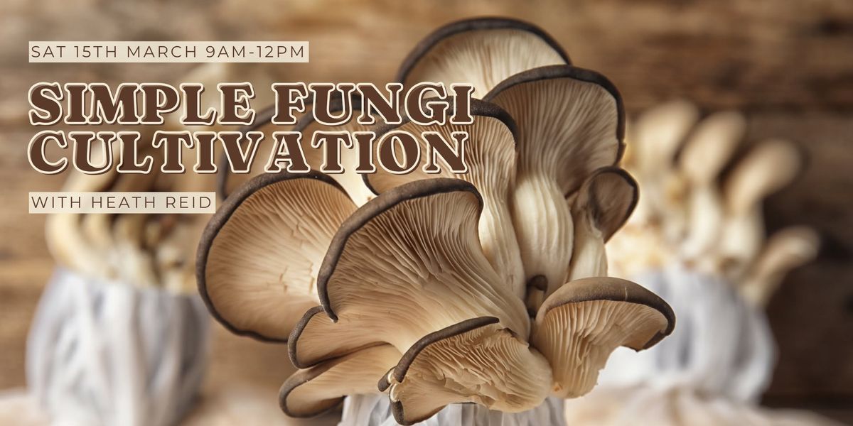 Simple Fungi Cultivation with Heath Reid