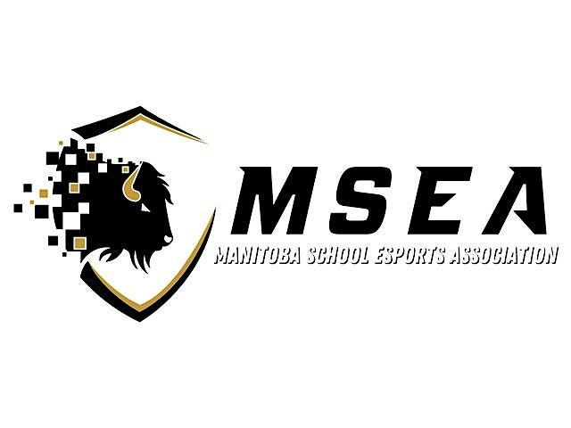 MSEA 2025 Seniors Years Minecraft Build Competition