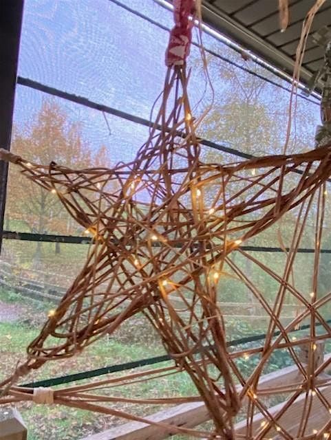 Willow Stars at Ryton Pools Country Park (WEEKDAY)