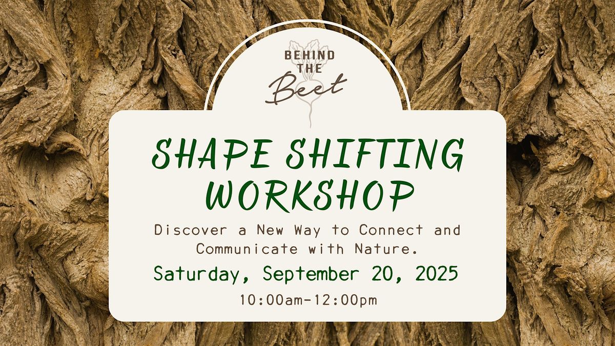 Meditative Shape Shifting