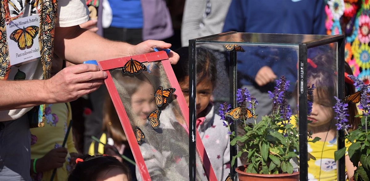 October  Second Saturday: Butterflies, Marigolds, and Dia De Los Muertos