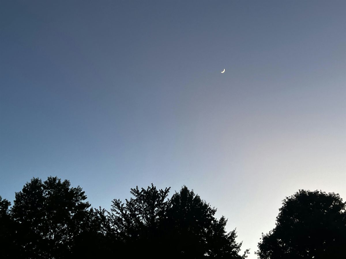 Evening Pranayama at the Park