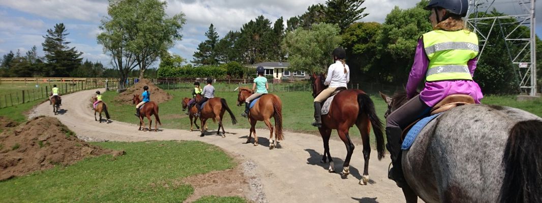 Half-day Riding Course: Beginners