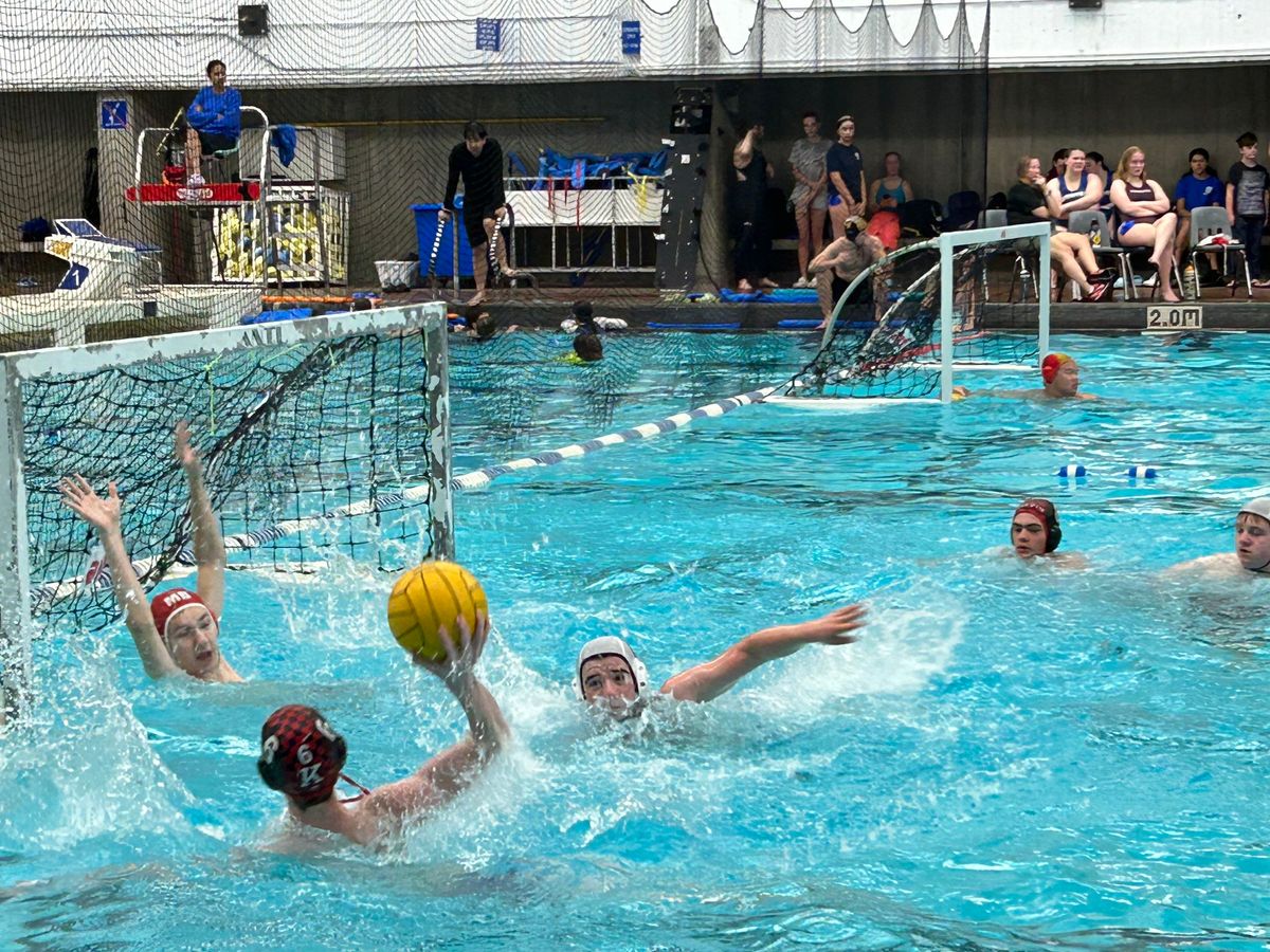 Co-Ed Adult Learn to Play Water Polo 