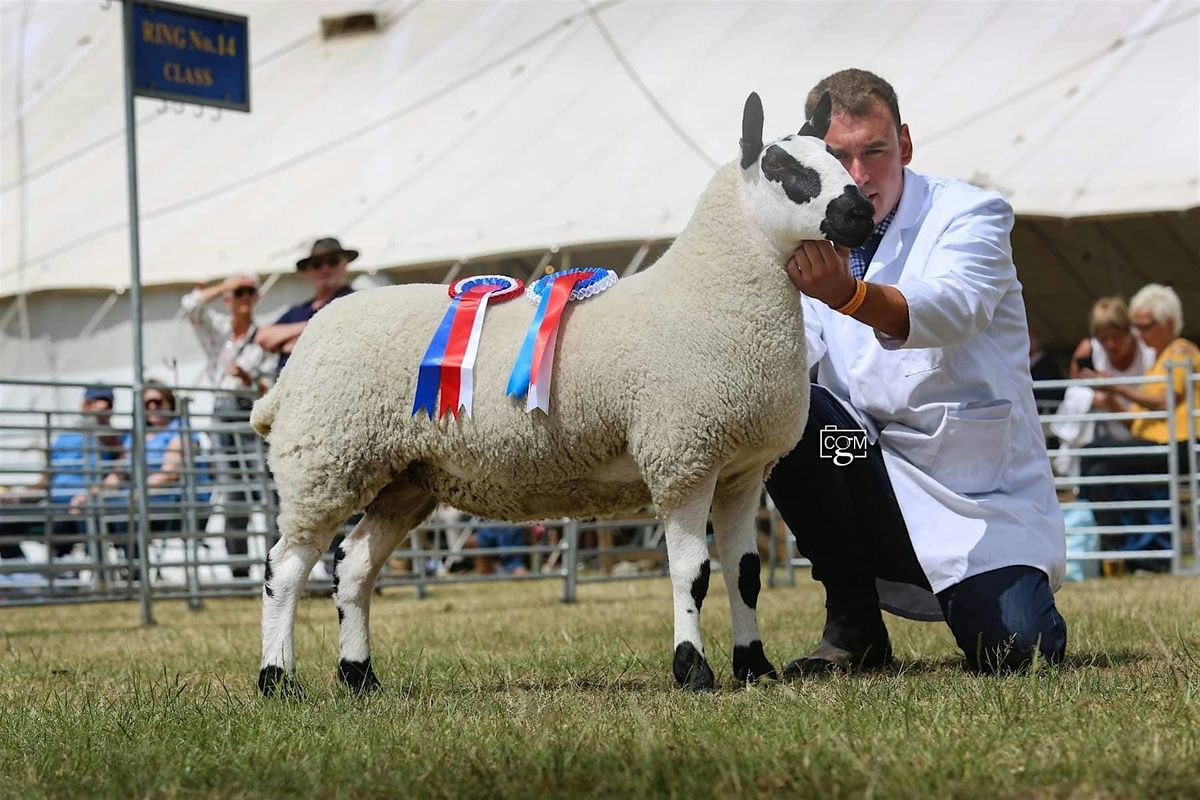 2025 Kerry Hill Sheep Breeders Clinic