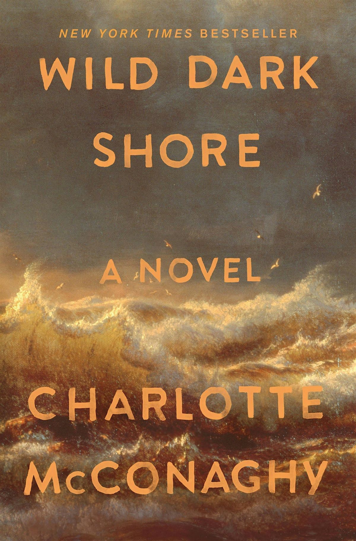 Modern Fiction Lilliput Bookclub in October: Wild Dark Shore