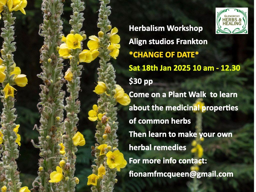 Frankton Plant Walk and Herbal Workshop