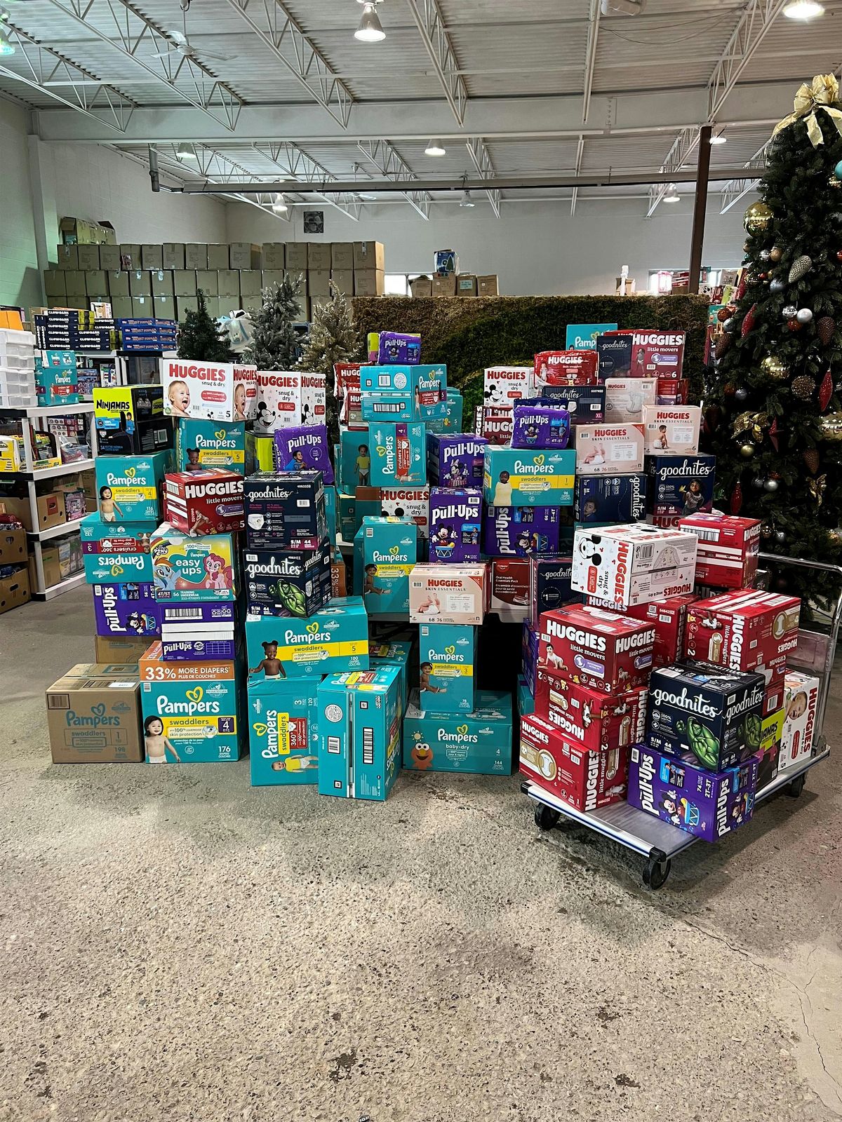 The 8th Annual Fill the Van YYC